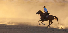 Namibia-Namibia-Desert Canyons Safari